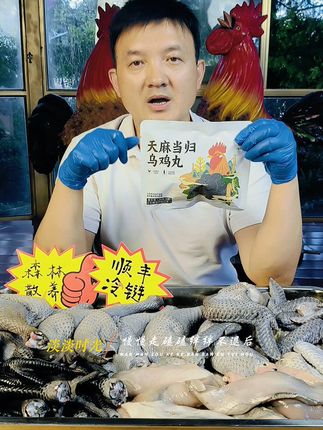 天麻乌鸡丸,滋补养生,全家人都爱! 昭通天麻,搭配武定乌骨鸡,天麻当归做馅料,武定乌鸡肉做外皮*#天麻 #当归 #真材实料才能做出好味道 #地方特色美食 #被新农人的打卡视频馋到了 