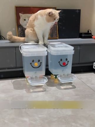 便宜又好用宠物饮水机真的很方便,出门不用担心狗在家口渴了 #新手养狗 #萌宠出道计划 #新手养宠 #萌宠好物
