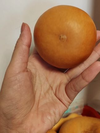 室内装饰新宠!天然葫芦龙头设计,提升家居品味! 老红皮八宝响籽