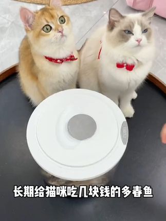宠物超爱的营养小鱼干,磨牙又补钙! #萌宠 #萌宠好物 #狗狗 #宠物食品 #萌宠有自己的阿贝贝