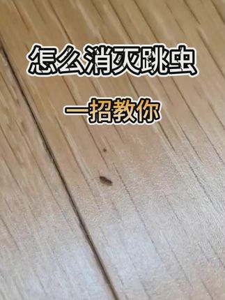 家里到处是小虫子?这款杀虫剂帮你搞定! 家中如果发现跳虫,一定要及时杀灭,如果处理不及时,会导致虫子爆发性繁殖 #跳虫 #跳虫杀虫剂 #跳虫防治 #烟灰虫 #跳虫怎么消灭 