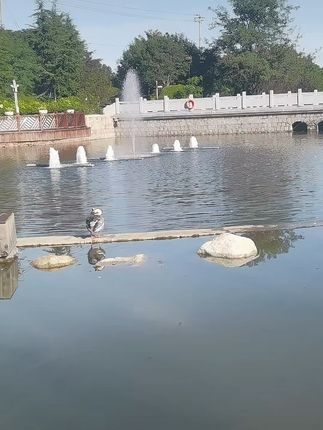 出差旅行必备!便携岩茶罐,随时随地享受好茶滋味! 茶叶罐来啦!有需要的赶紧冲吧!!!#源头工厂#茶#秋冬热饮#养生茶#秋日第一杯暖饮
