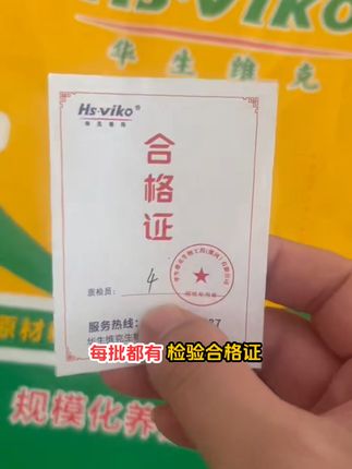 养牛养羊不发愁,板青颗粒来帮忙! 养鸡、鸭子、鹅、鸽子