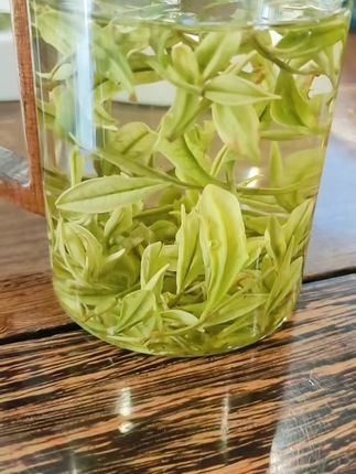 春日里的一杯清新,安吉白茶带你远离都市喧嚣! 茶叶品质好不好?关键看产地!这款好喝又实惠的好物别错过!#茶#茶生活#茶叶#安吉白茶原产地#新茶