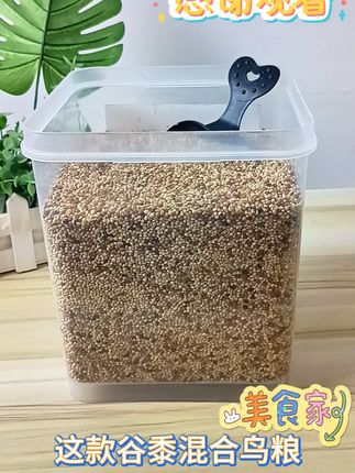 养鹦鹉就选这款!上万鸟友都在用的混合饲料 #鹦鹉粮 #鹦鹉鸟粮 #鸟粮 #混合鸟粮 #玄凤鹦鹉