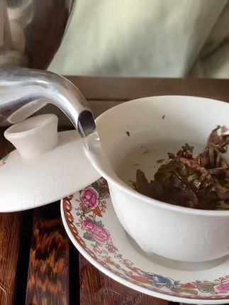 古树白茶,一口甘甜唤醒你的味蕾! 今天是大寒节气啦!喝一杯暖暖的好茶,感受生活的美好吧~#好物推荐🔥#召唤茶友#茶生活#今天你喝茶了吗#白茶