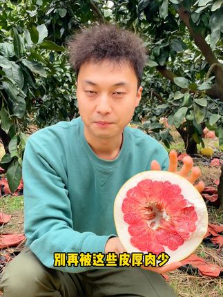 孕妇解馋柚子,酸酸甜甜,嫩嫩的果肉,口口爆汁 今天又是一个忙碌的一天!晚上回家吃一个新鲜美味的红柚吧!#抖音助农 #柚子 #新鲜应季水果 #红心蜜柚 #孕妇水果