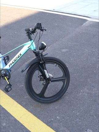 有凤凰童车,娃骑行锻炼更积极主动 孩子骑普通小黄车太危险?这款专为小朋友打造的安全好物来救场!#山地车#儿童自行车推荐#儿童自行车#宝妈推荐#一代人有一代人的开学装备