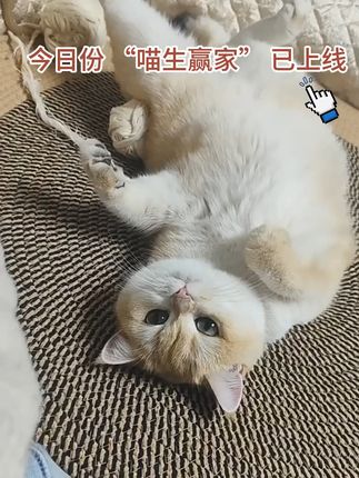 猫咪磨爪新选择,再也不怕家具被毁! 家里养了两只小猫,总担心它们把家具抓坏?试试这款好物!#猫咪#好物推荐🔥#猫抓板#猫抓板推荐#剑麻猫抓板