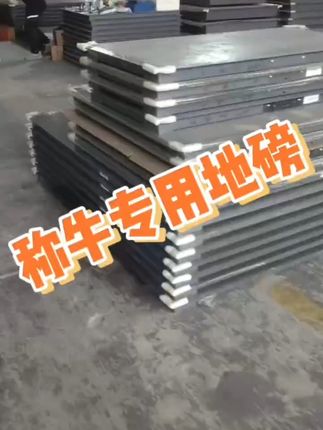 上车轻松称重!坏了也能免费退,太安心了