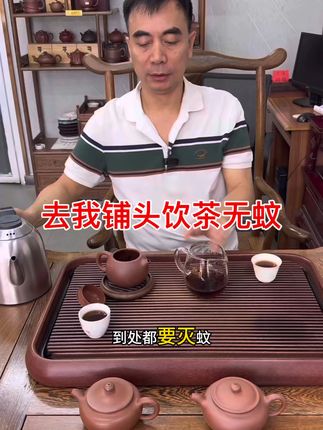 紫砂壶泡茶更香!德钟壶让你爱上每一口茶滋味 #紫砂壶#普洱茶#茶叶#茶具#润元昌茶业