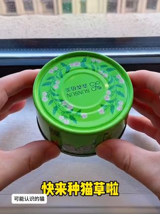 再也不怕猫毛乱飞!懒人必备水培猫草盆! #萌宠好物 #毛孩子 #毛球症 #新手养猫 #猫:把猫窝大门还我