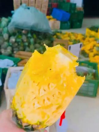新鲜凤梨一口爆汁,海南现摘包邮到家! 今天下午四点半开始打包发货了!现在下单明天就发货!#商家们纷纷喊话赵露思 #海南凤梨 果地直发新鲜好吃