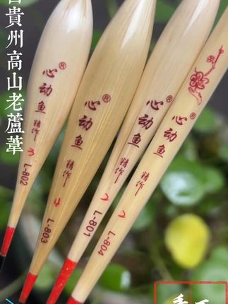 钓鱼必备!高灵敏鱼漂,包邮退货无忧 下单就送运费险呢!#钓鱼 #鱼漂 #高灵敏浮漂 #户外钓鱼 #鲫鱼漂