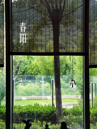 春阳 融古代避疫方与清宫秘方,研得防疫之香。适用于居家、办公等场景,焚香净味除菌,守护健康环境#香文化 #合香 #中医香养 #非遗 #日常用香 #线香入门推荐 #天然线香