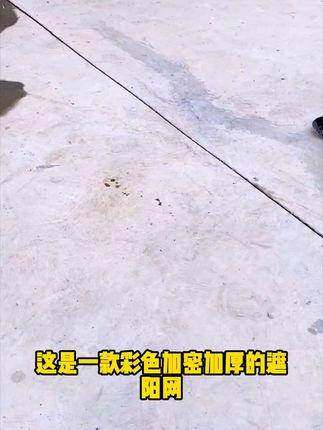 彩色遮阳网加密加厚防晒网庭院楼顶阳台遮阴网户外多肉花卉遮光网