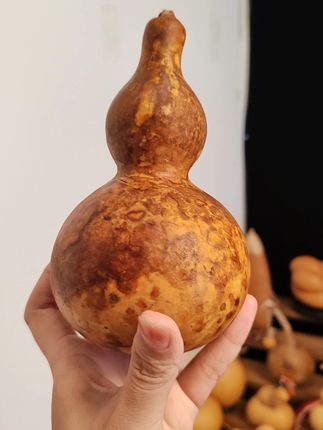 家居装饰新选择,小巧葫芦带来满满福气! 奶呼呼的小花皮摆件葫芦摆件推荐#小葫芦#花皮葫芦#这也能开播 #2025第三只眼看中国 #鸣潮2.6版本创作激励计划 