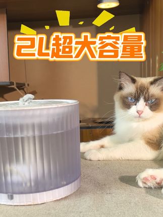猫咪不爱喝水?自动活水机来救场 猫喝水总担心不干净?试试这款自动换水、过滤杂质的神器!#猫猫算是把日子过明白了 #萌宠好物#猫咪 #哈巴斯 #科学养宠攻略