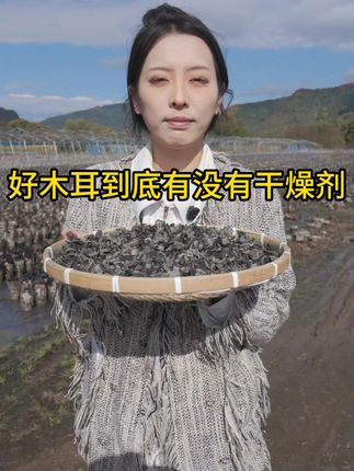 我们的木耳标准: 但凡我家木耳您吃着不好吃,不喜欢全都可以退回来,有运费险,支持正装试吃!#干货分享 #东北特产 #黑木耳