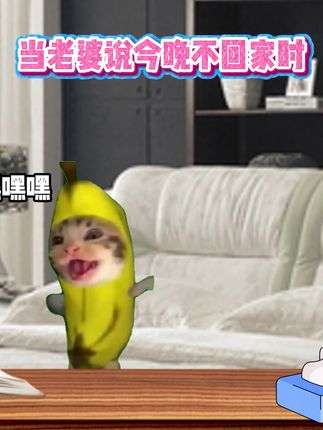 老婆不在家时 #猫meme #搞笑 #二次元 #抽象 #解压玩具