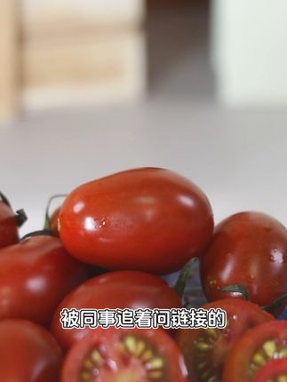 新鲜采摘的小番茄!酸甜多汁,包邮退货无忧~ 今天下午四点半开始发货了!现在下单不仅有运费险还可以享受包邮哦~#大暑消夏美食天花板#把夏天的甜蜜一筐筐装满#邪修做饭有多简单#各地凉快美食申请出战#一口冻水果凉快整个夏天