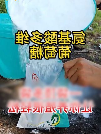 氨基酸多维葡萄糖粉兽用鸡鸭鹅鸽用电解多维 #养殖 #养殖人加油 #养殖技术 #养殖技术交流 #养殖技术全程指导