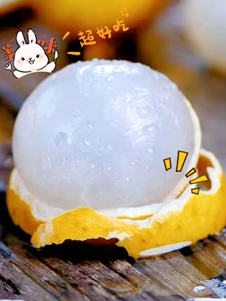 夏日解暑神器!新鲜龙眼一口一个甜到心坎里 今天下午采摘的新鲜水果来咯!喜欢吃的快来看看吧~#夏天来点“凉快”美食 #龙眼 #石硖龙眼 #现摘现发新鲜到家 #夏日水果 
