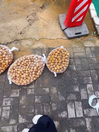 大货已到家 想买高品质文玩却不知咋挑选?我帮你解决难题!#文玩文玩 #文玩 #文玩核桃 #盘核桃 #万物皆可盘