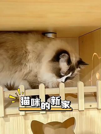 猫咪终于有了自己的小天地!超大猫窝包邮到家 这个小窝窝真的太好用了!不仅有包邮还有运费险,不合适的还可以退哦~#帽子一戴谁都不爱 #秋天的第一顶帽子 #人我戴这顶帽子出去玩好吗