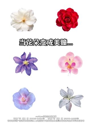 谁敢信日抛只要这个价格...#serltyca #serltyca美瞳 #cos美瞳推荐 #cos美瞳 #美瞳推荐