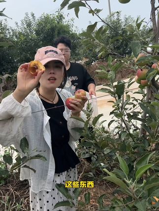 孕妇也能放心吃的甜脆红苹果,新鲜包邮到家! 今天下午四点半开始发货了!现在下单都是包邮到家哦!!#谁懂这座城的好吃程度#周笔畅拉宏给蔬菜花写歌#跟着洪剑涛开启新疆逛吃之旅#西瓜:你认真的吗#总有一种味道能让你想起故乡