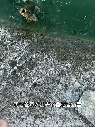 下班路上也能享受的便携辣味花生! 这种袋装的小零食真的太好吃了!随时随地都可以吃上一口,又酥又脆还很入味!#酒鬼花生 #脱油花生 #脱油花生好吃到爆 