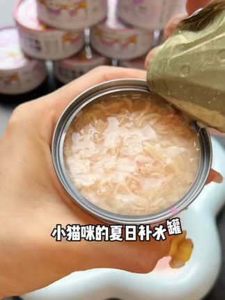 猫咪补水神器!专治不爱喝水的猫咪 #萌宠好物#猫咪#猫罐头#新手养猫#猫咪湿粮