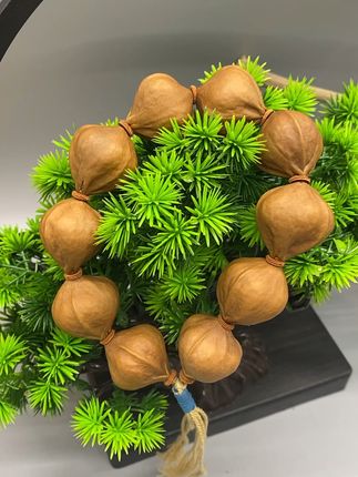 告别粗糙手部!这颗橄榄核让你双手细腻光滑 想玩好橄榄核雕刻?先了解它的纹理、硬度与密度!#文玩#文玩手串#橄榄核#橄榄核雕#梅林铁核