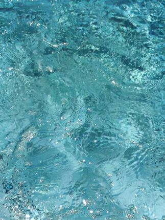 【4.9包邮】按压式洗手盆脸池漏水塞子防臭堵口水槽弹跳芯
