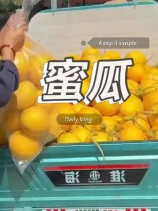蜜瓜产地大丰收,13.7给您发一箱 #新鲜采摘 #农产品 #优质水果 #蜜瓜 #应季水果推荐