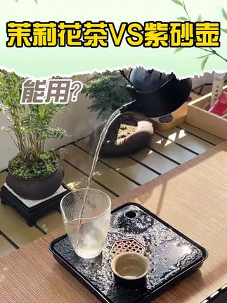 茉莉花茶能不能用紫砂壶冲泡呢?#抖音美好丰收节 #召唤茶友 #茉莉花茶