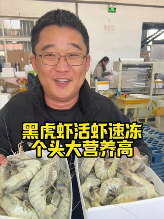 黑虎虾活虾速冻,个头大营养高! #黑虎虾 #优惠活动火爆进行中 #海鲜美食