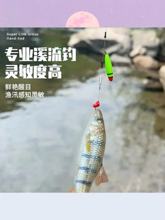 小黑单漂溪流钓成品线组台钓溪流钓马口石斑溪哥钓组灵敏鱼漂#钓鱼用品 #溪流钓线组 #小黑钓组 #灵敏鱼漂 #马口钓组