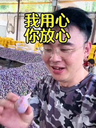 【顺丰快递】新疆喀什伽师县法兰西西梅 3/4斤 新鲜采摘 香甜多汁#新疆西梅 #法兰西西梅 #香甜多汁 #新鲜采摘 #顺丰快递