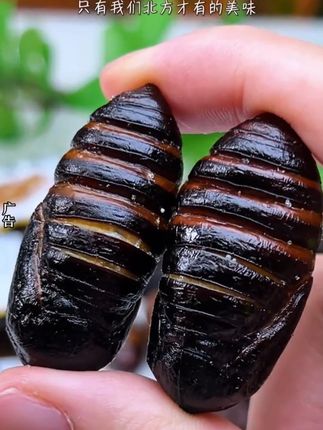 东北大茧蛹,酥香酥香的#好吃到停不下来  越嚼越香#超便宜超划算 #妈呀太香了