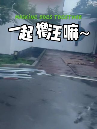 防风内衣裤架晒袜子家用神器 #62