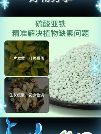 家庭园艺硫酸亚铁喜酸植物防黄叶增绿水溶硫酸亚铁肥料#家庭园艺 #硫酸亚铁 #喜酸植物 #防黄叶 #植物肥料