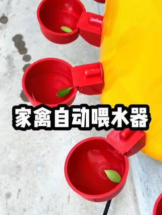 养鸡用#自动饮水器 鸡鸭鹅饮水碗喝水碗鹌鹑家禽鸟小鸡喂食神器养殖