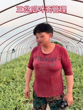 梵施沃瓜果蔬菜叶面肥西瓜甜瓜果树芹菜菠菜香菜叶菜增产专用肥料