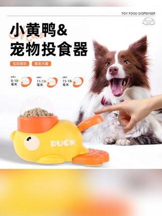 有些猫就是看着笨笨的 #萌宠 #宠物猫咪 #可爱猫咪 #萌宠萌宠萌宠 #可爱小猫咪