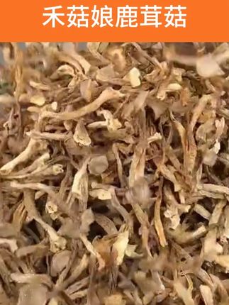 禾菇娘鹿茸菇#好吃不贵经济实惠 #好吃到停不下来