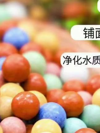 彩色陶粒花用垫底铺面造景小彩蛋盆栽透气水培花卉营养土种花陶土#彩色陶粒 #花用陶粒 #盆栽造景 #透气陶土 #花卉营养土