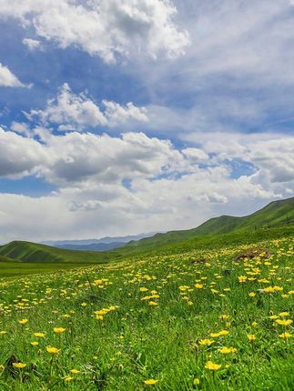 家里吃不完的榨菜,咸菜,平时的剩菜,用这个玻璃密封罐装起来,不会串味#玻璃小碗   # 密封罐#密封罐 #玻璃罐密封带