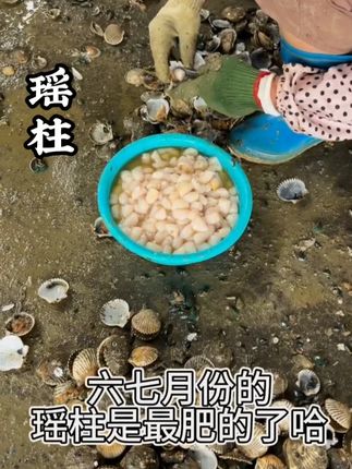 #闽南 #闽南美食 #闽南地区 #闽南特色 #瑶柱干贝